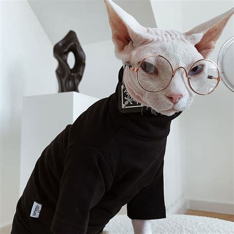 cat prada